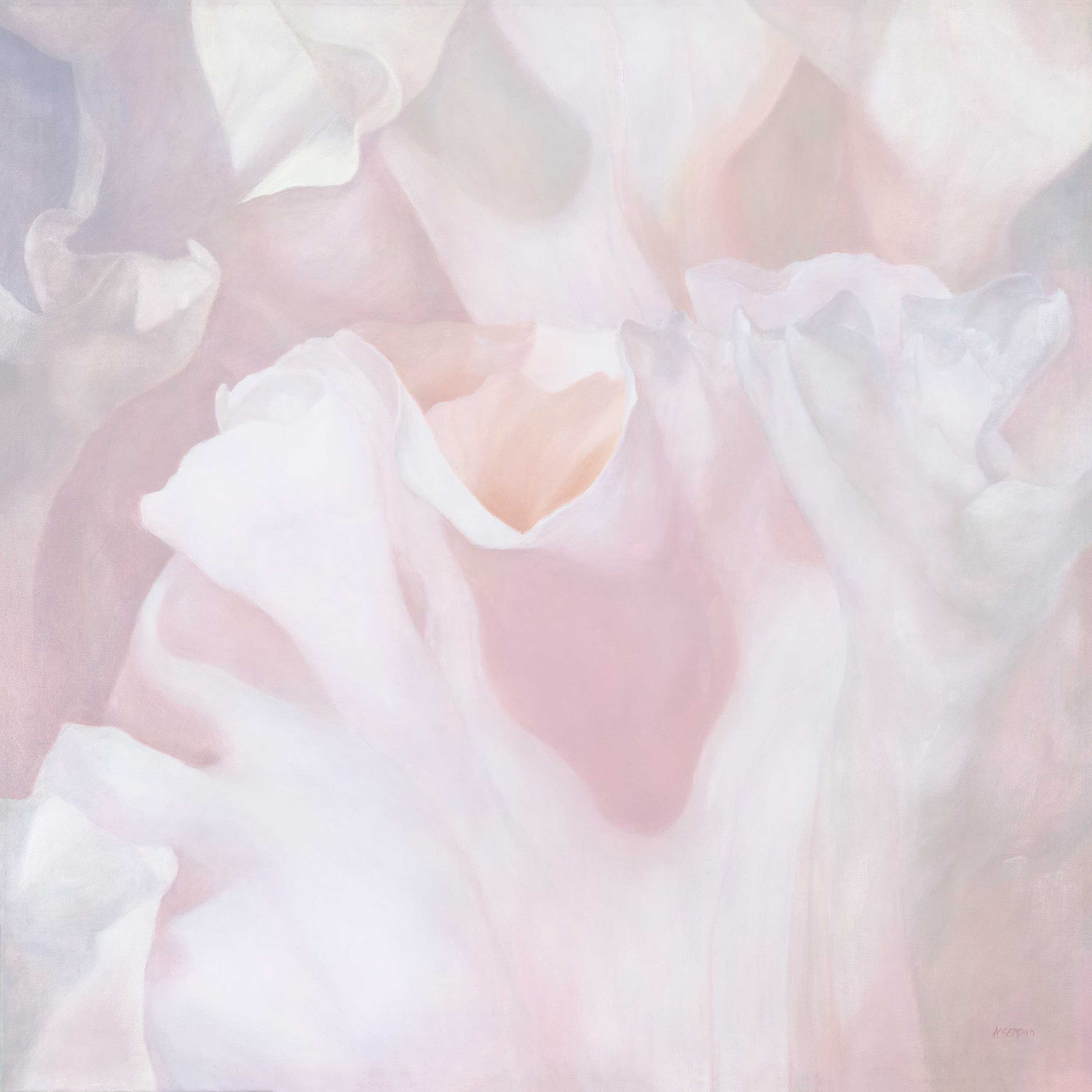  Iris III Pink, 36 x 36 Original Oil 